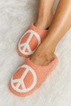 Load image into Gallery viewer, Melody Printed Plush Slide Slippers
